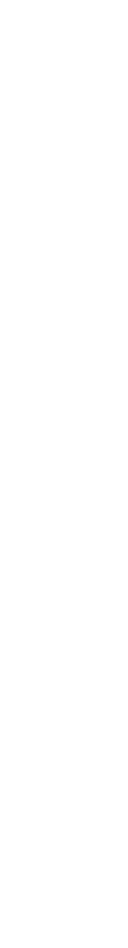 THE FUTURE DEVELOPMENT OF PORT CARGO OPERATIONS